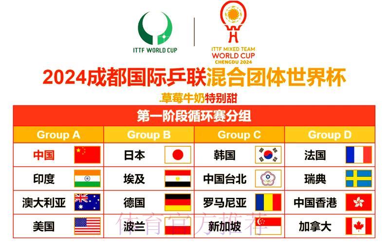 2024世界杯赛事直播在线观看渠道全攻略 2024世界杯赛事直播在线观看渠道全攻略